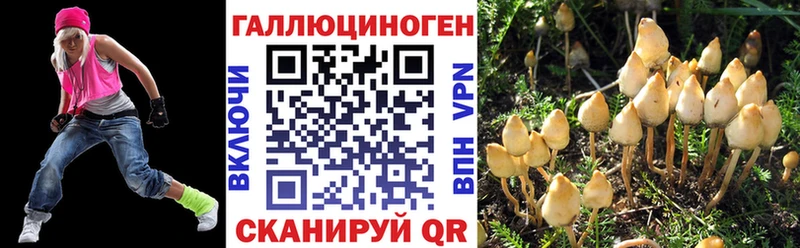 наркотики  Константиновск  blacksprut рабочий сайт  Псилоцибиновые грибы мицелий 